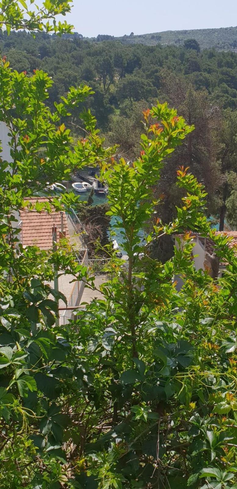Apartman Pobuk Primošten Exterior foto